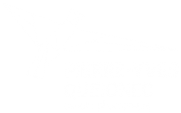 Photographe Mariage Paris | P-Y. QUEIGNEC