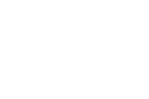 Photographe Mariage PARIS - QUEIGNEC PHOTOGRAPHE